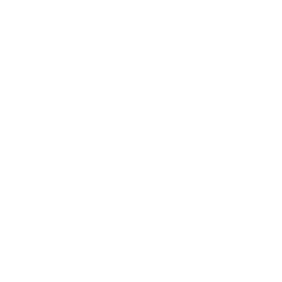 aviornis