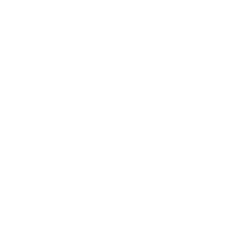 inmobiliaria nagusia